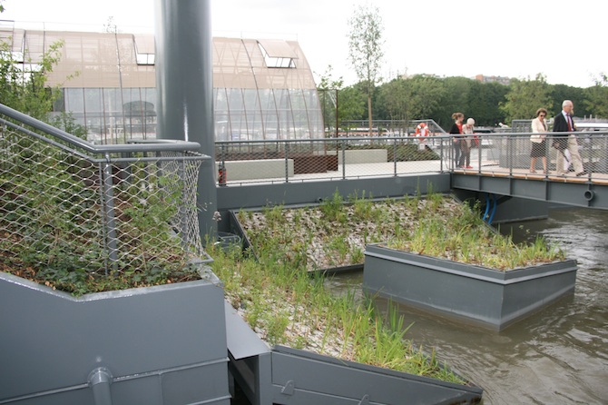 Des petits îlots végétalisés isolés accueillent des plantes semi aquatiques - © J.-F. Coffin